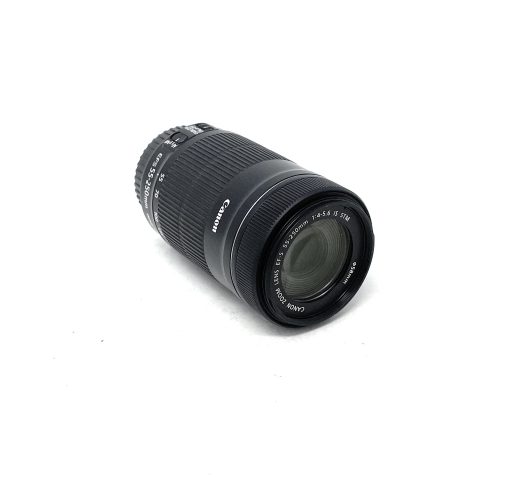 Canon EF-S 55-250mm f/4-5.6 IS STM Lens - Image 3