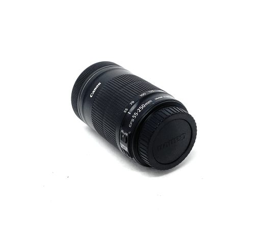 Canon EF-S 55-250mm f/4-5.6 IS STM Lens - Image 4