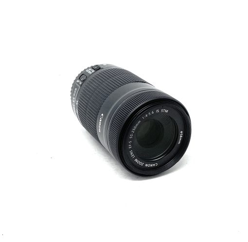 Canon EF-S 55-250mm f/4-5.6 IS STM Lens - Image 3