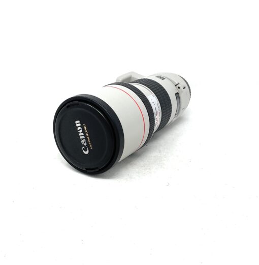 Canon EF 300mm f/4L IS USM Lens for Canon - Image 2