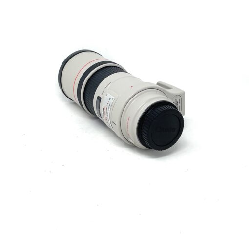 Canon EF 300mm f/4L IS USM Lens for Canon - Image 4