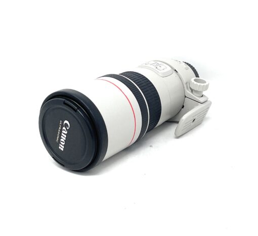Canon EF 300mm f/4L IS USM Lens for Canon