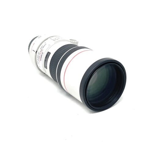 Canon EF 300mm f/4L IS USM Lens for Canon - Image 2